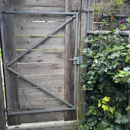 Vlinderzicht *